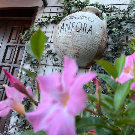 Apartament L' Anfora Locazione Turistica Terni Zewnętrze zdjęcie